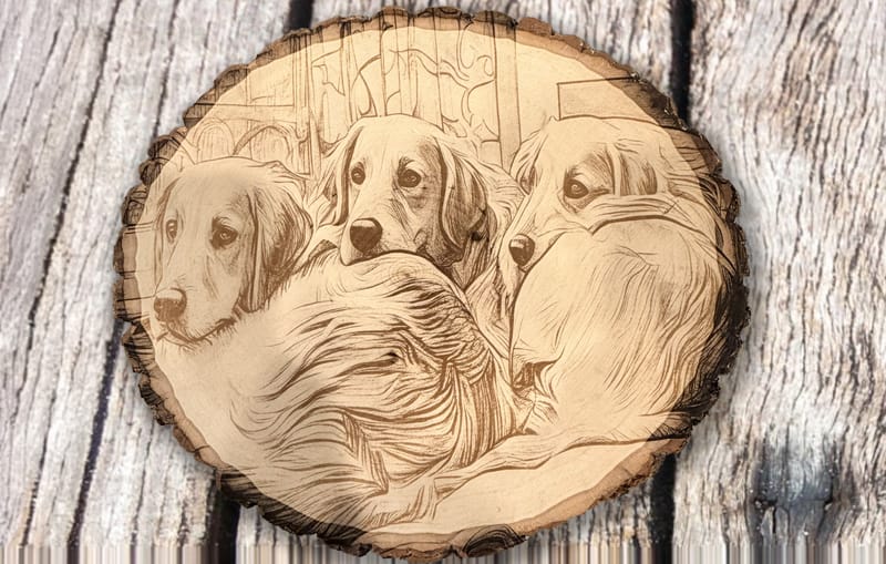 Lisa-andWalter-Dog-wood.jpg